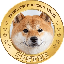 Coin logo